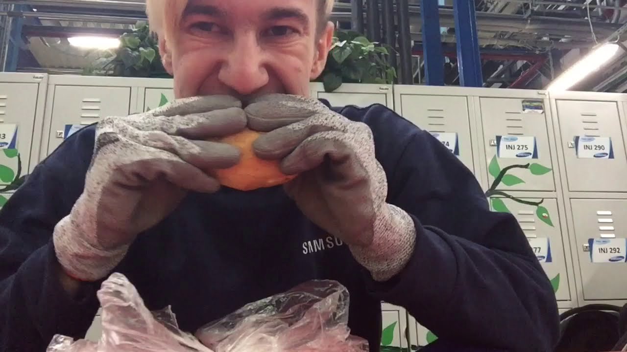 #VLOG🇵🇱_Part 2 :Завод SAMSUNG (г.Вронки).Стоит ли сюда ехать ?Преодолеваю трудности в одиночку.