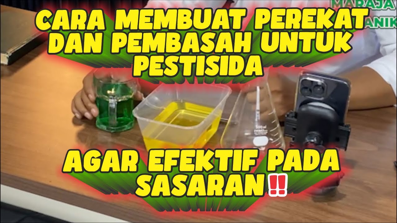 CARA MEMBUAT PEREKAT DAN PEMBASAH UNTUK PESTISIDA AGAR EFEKTIF PADA SASARAN‼