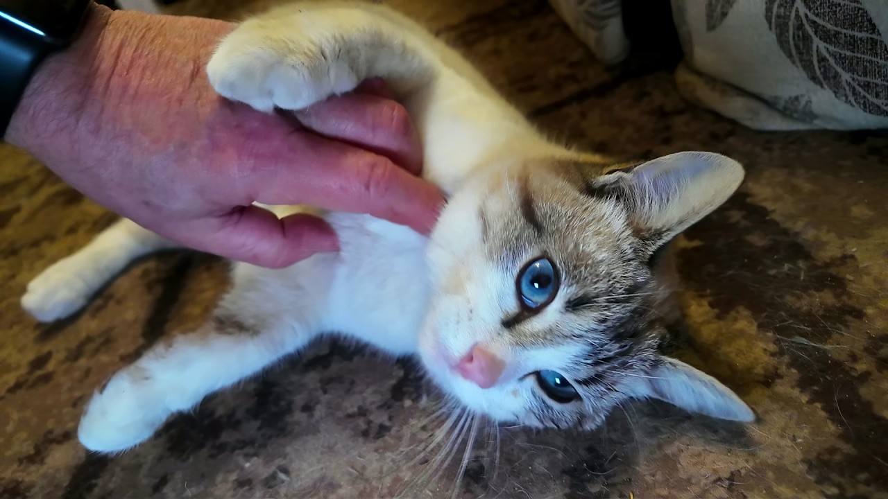 #Славянск. 23 марта 2026г. Утро. Было громко...