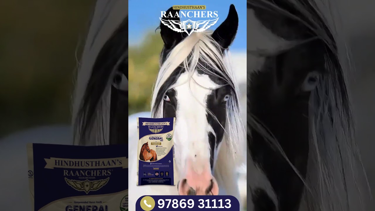 Try out the quality natural horse feed for your horses