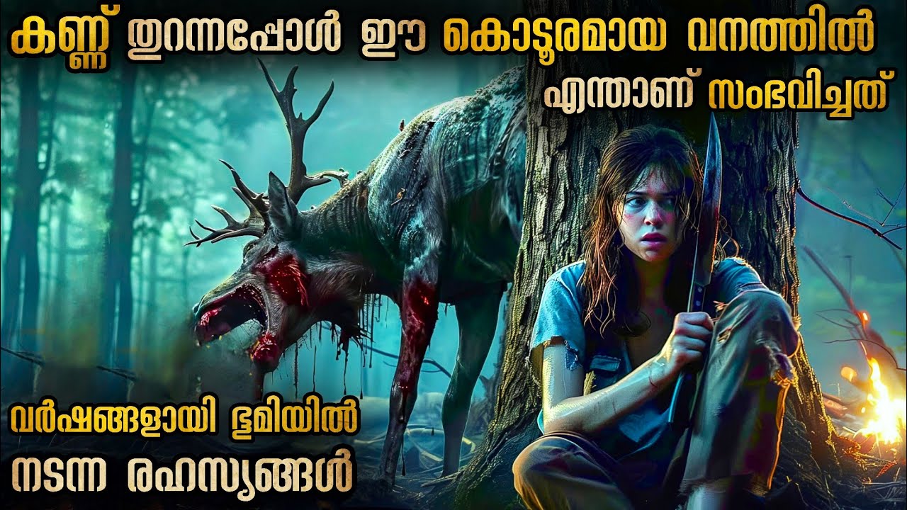 വിമാനത്തിൽ നിന്നും 8 പേര് ഒരു കാട്ടിലേക്ക് എറിഞ്ഞു പിന്നീട് സംഭവിച്ചത് 🔥🔥🔥 #malayalamexplanation