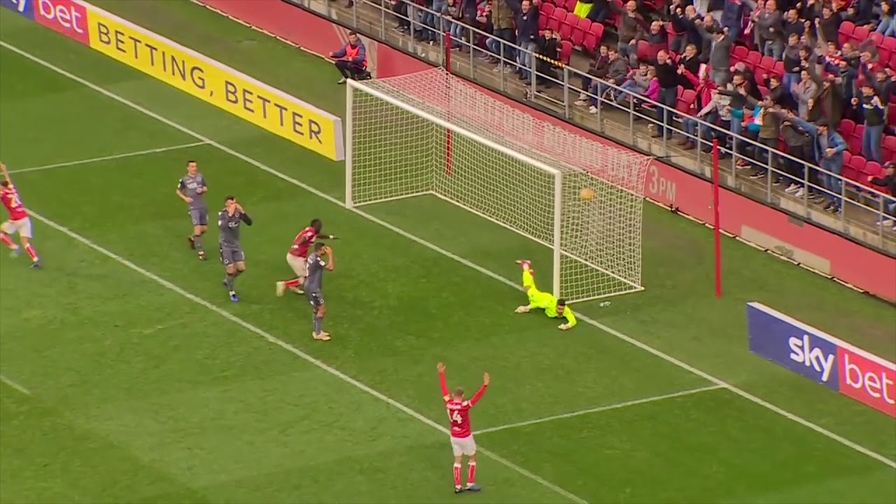 Bristol City Goals 2018/19 [HD]
