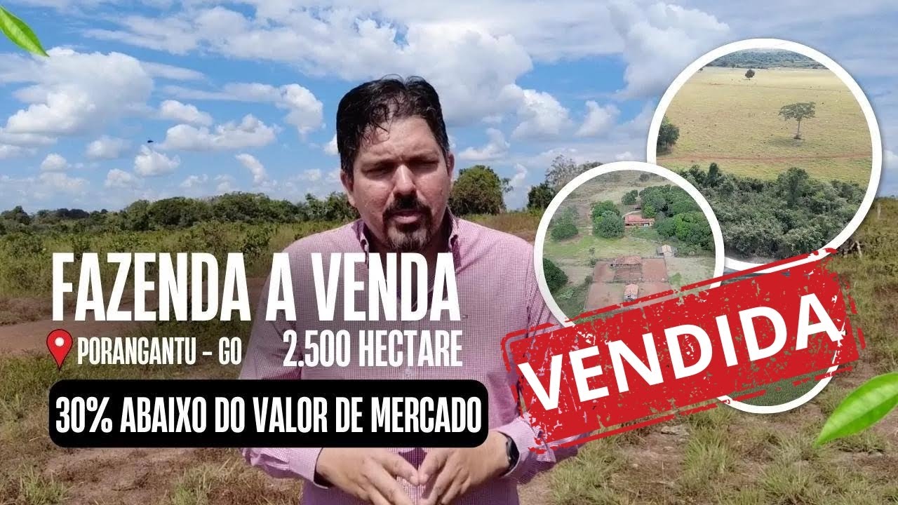 Fazenda a venda no norte de Goiás de 2.500 hectares.