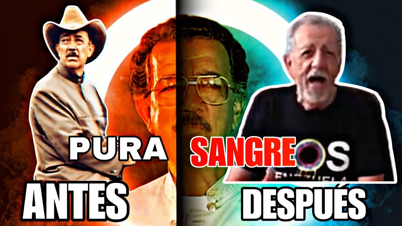 ASI LUCEN AHORA PURA SANGRE  #oscarnovelasymas #telenovelas  #purasangre #novela #venezolanos #rd