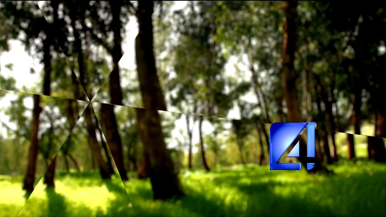 TV4 - Bufor (2017-2023)