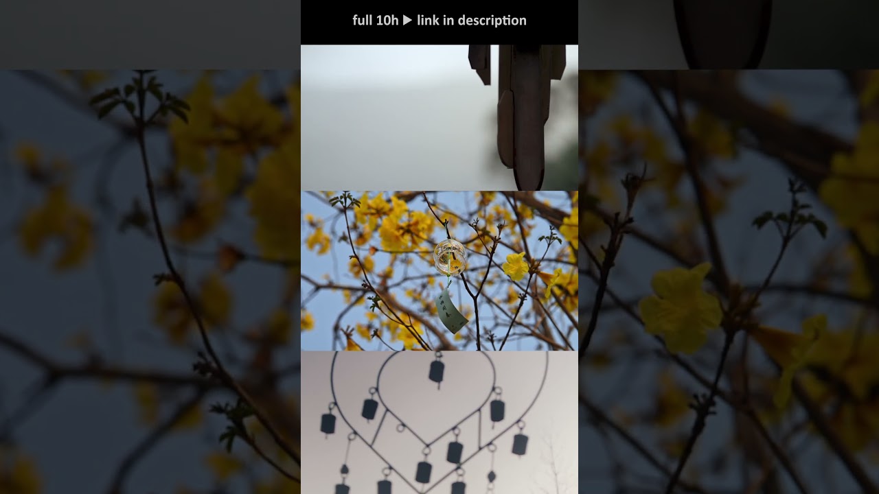 Crickets & Wind Chimes Sounds - Meditation, Relax & Sleep 