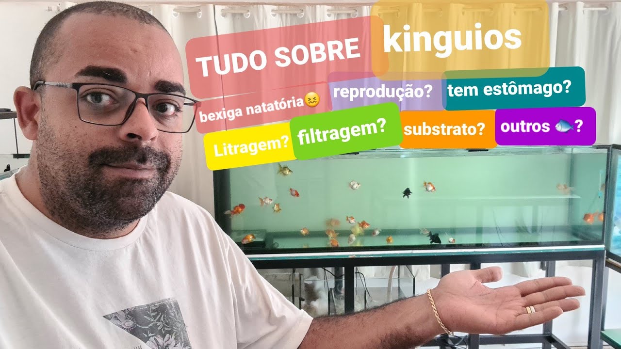 KINGUIOS - TUDO que vc PRECISA saber!