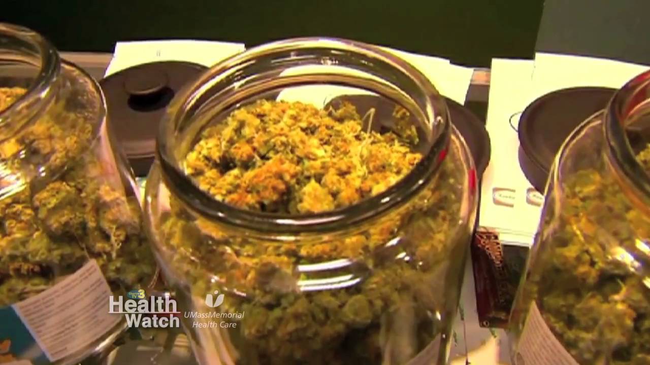 Why Marijuana Is Exceptionally Dangerous to the Adolescent Brain