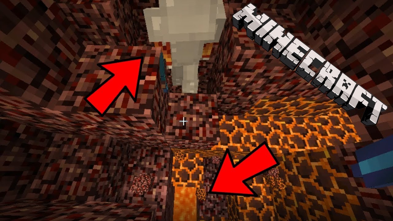 Bercea A Vrut Sa-mi Faca O FARSA! | Minecraft Breasla Salbaticilor!