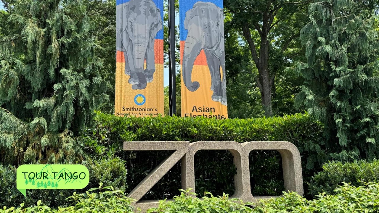 Exciting Zoo Walking Tour - Smithsonian Washington DC - 4K - Tour Tango