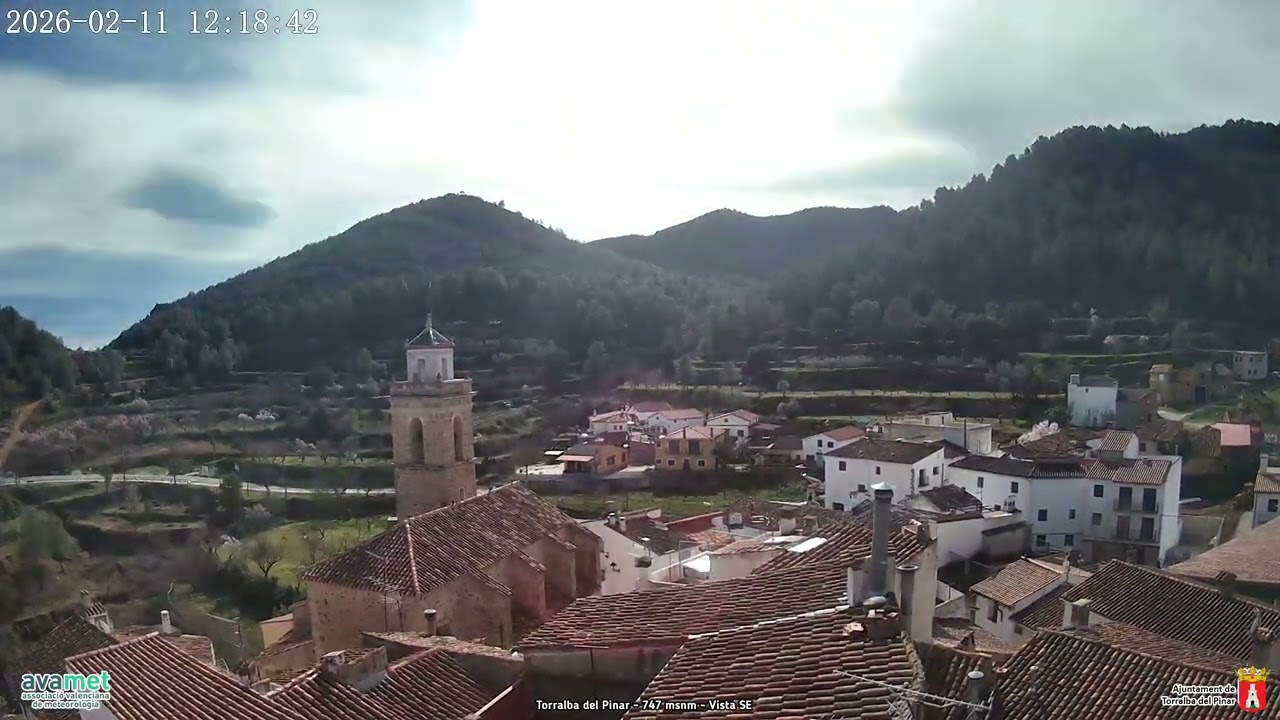 Timelapse Torralba del Pinar - 2026-02-11
