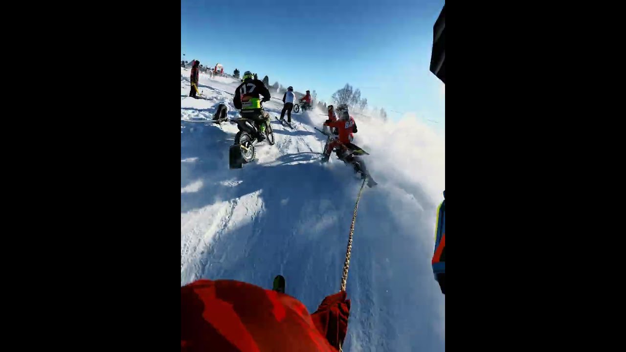 Edgars Silins & Valts Valainis 86 Kazdanga Skijoring Race 2 2026