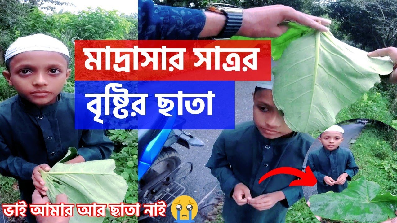 Free Motion মা- হারা এতিম মাদ্রাসার ছেলেটির ছাতা দেখে কান্না থামাতে পারিনি || ভাই আমার আর ছাতা নাই