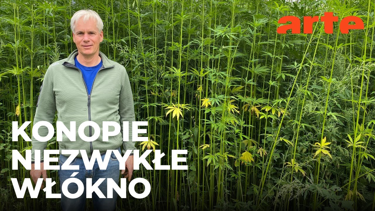 Konopie: niezwykłe wł&oacute;kno | ARTE.tv Dokumenty [LEKTOR PL]