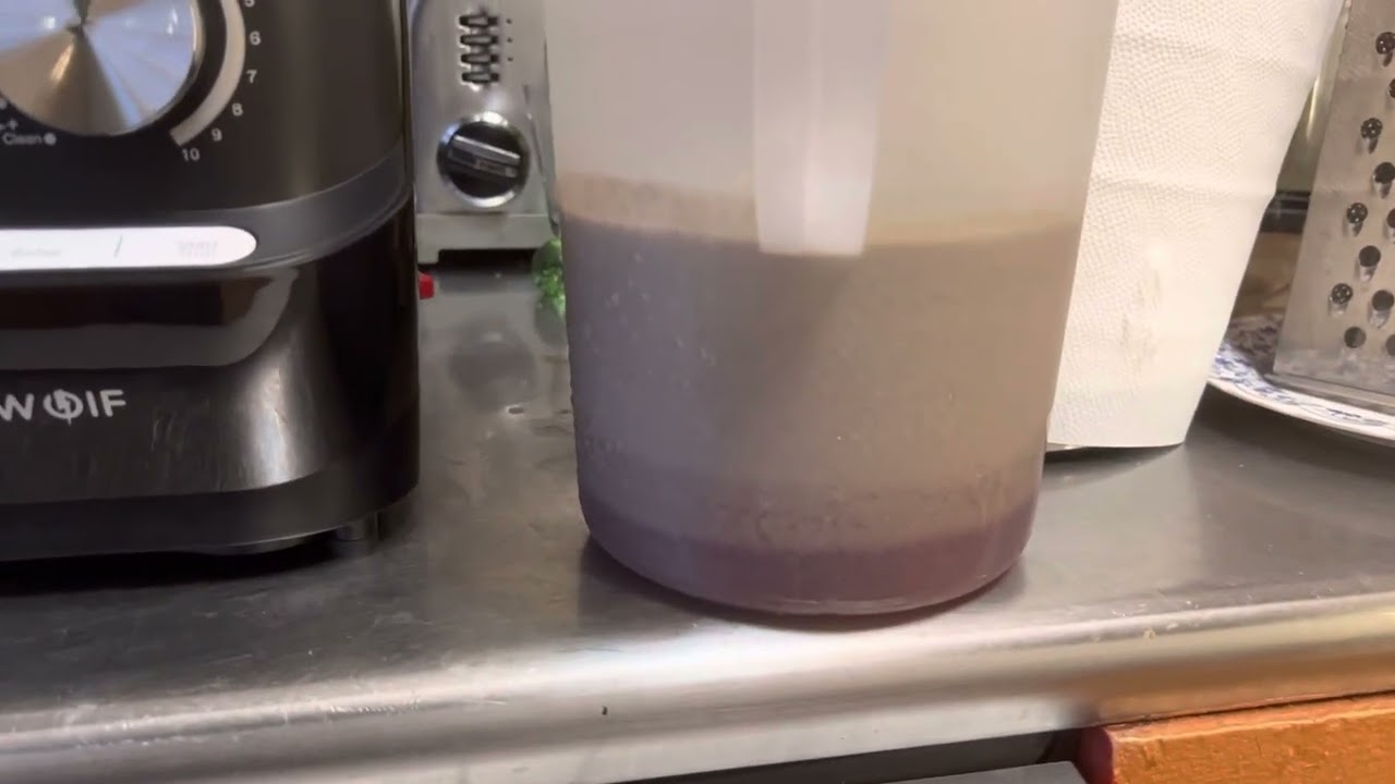 Review and comparison of blitzwolf and dynapro vacuum blender vs vitamix