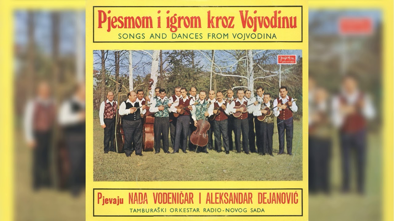 ALEKSANDAR DEJANOVIĆ - ŽABALJKA