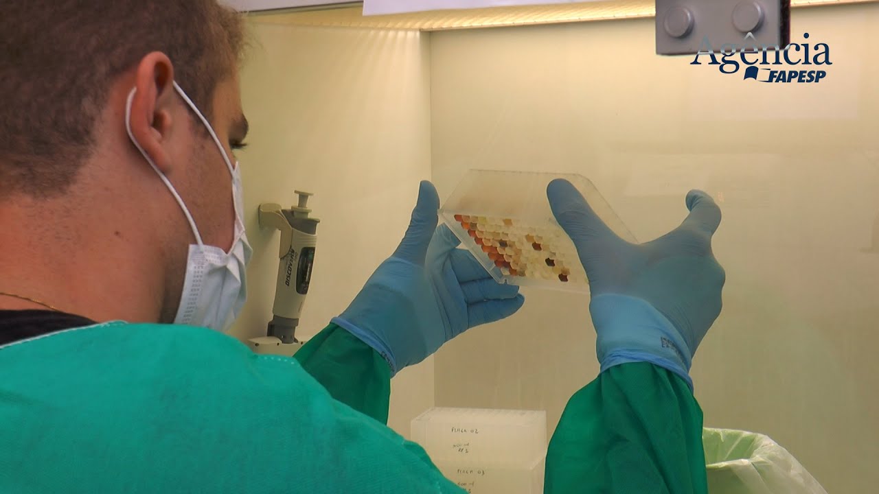 Coronavírus é produzido em laboratório por pesquisadores da USP