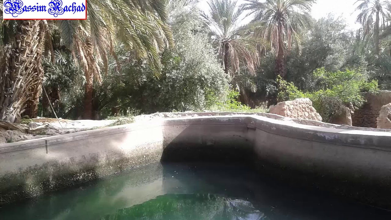 أغنية مترجمة من اللغة الأمازيغية إلى اللغة العربية من أداء بلقاسم لعشير من مدينة فكيك بالمغرب