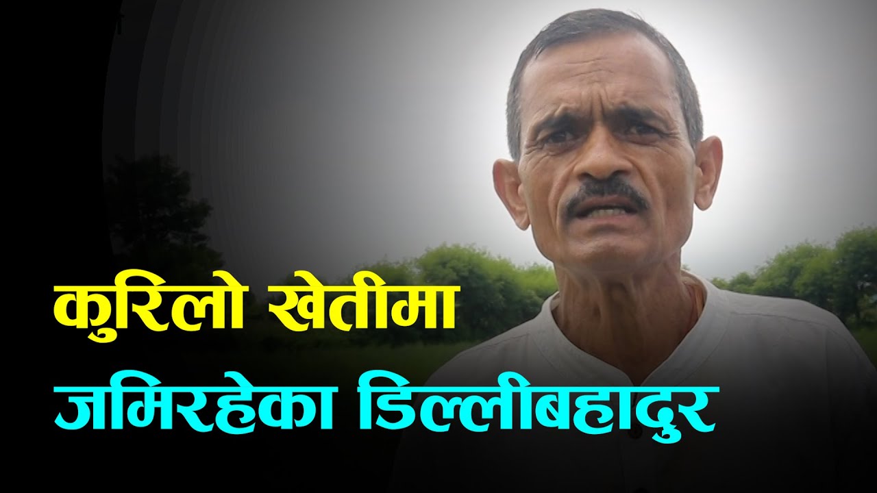 २४ कट्ठामा कुरिलो खेती गरिरहेका पूर्वनासु #kurilo kheti