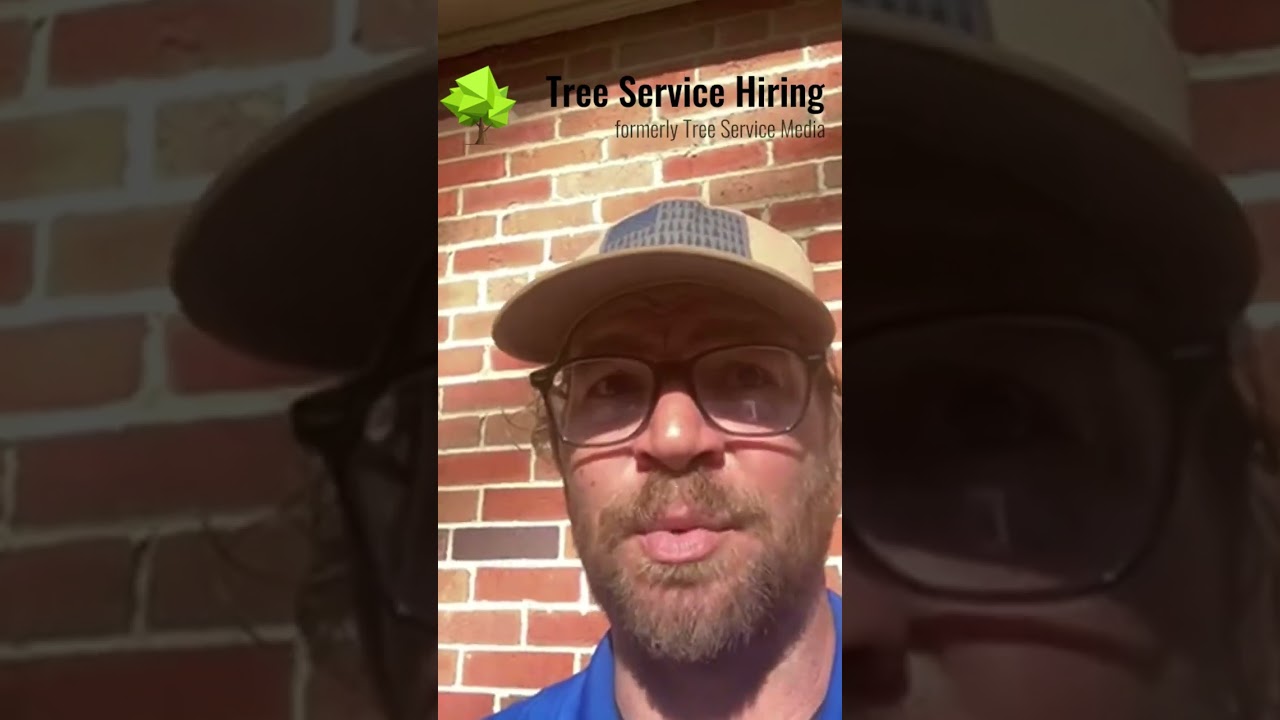 How to Hire a Climber (Tree Service Companies)