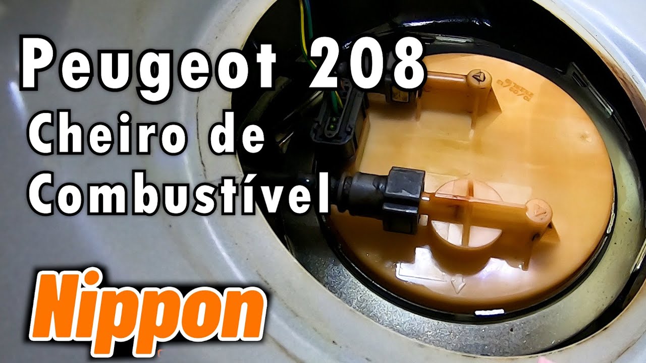 Peugeot 208 - Cheiro de combustível. - Correlação e causalidade? Apenas Coincidência!