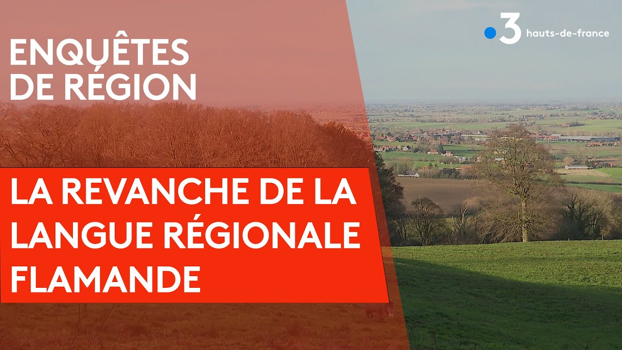 La  revanche de la langue régionale flamande.