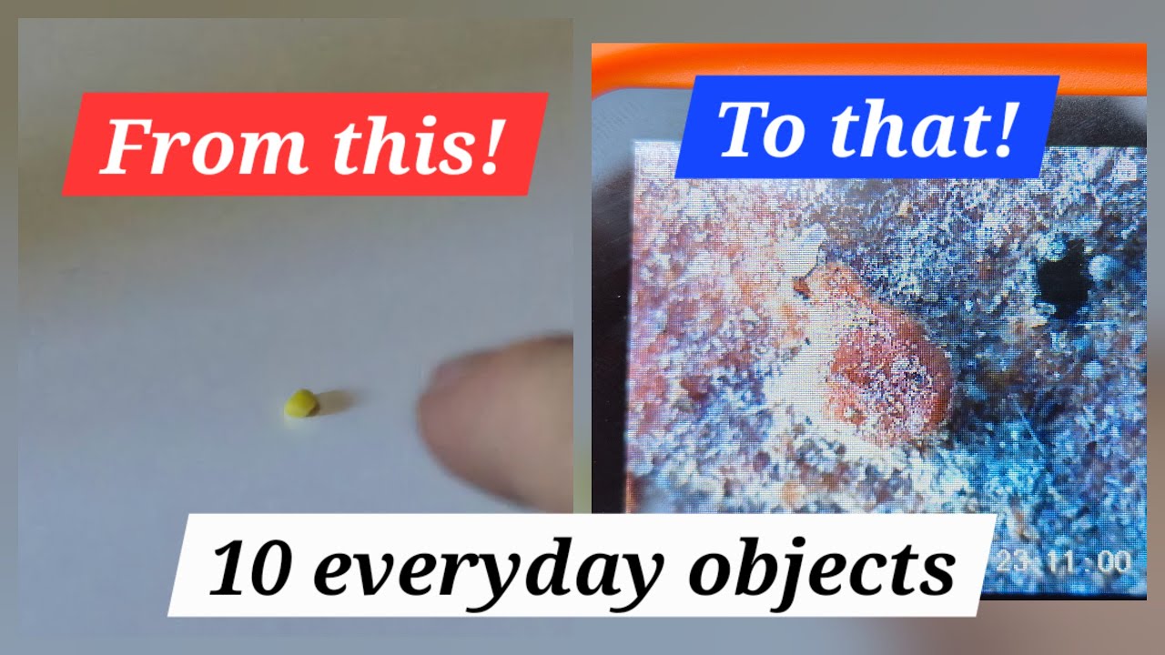 10 Objects Under A Powerful Microscope......
