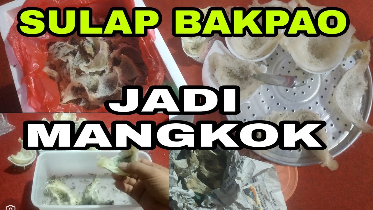 AIR  putih sarang bakpao bisa jadi sarang mangkok yg bekwalitas.