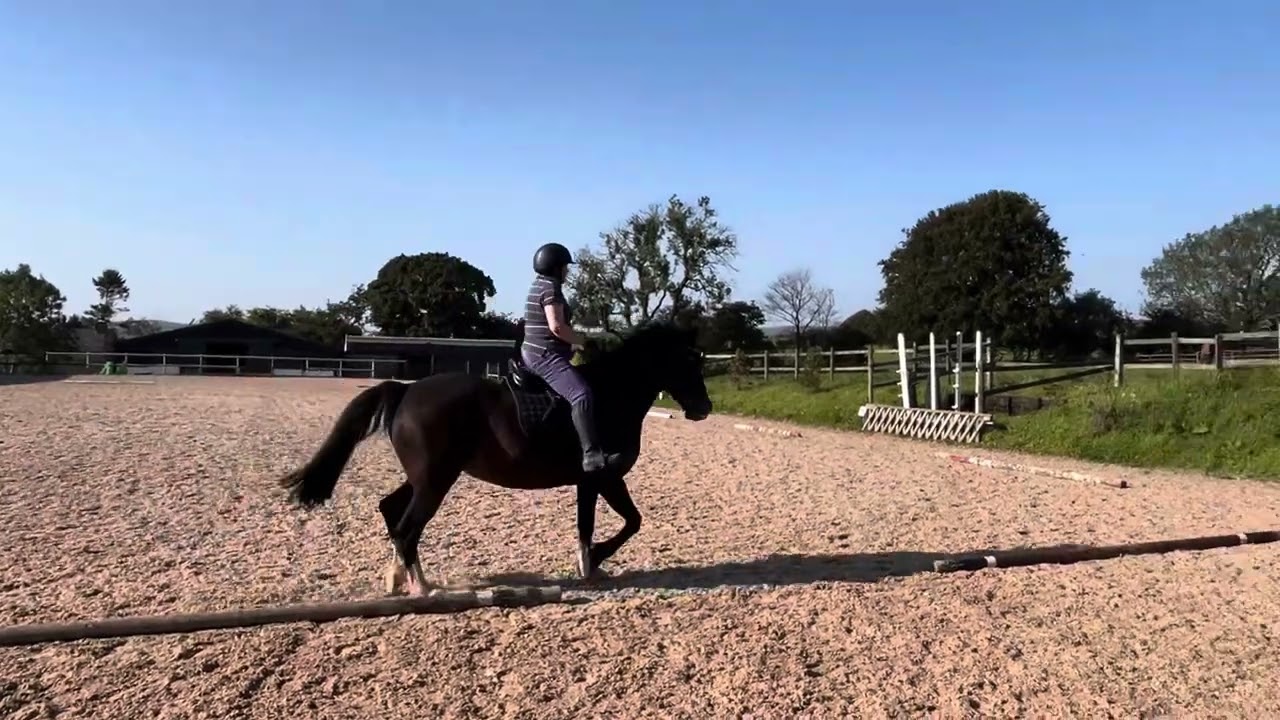 BD Novice 1 September 24