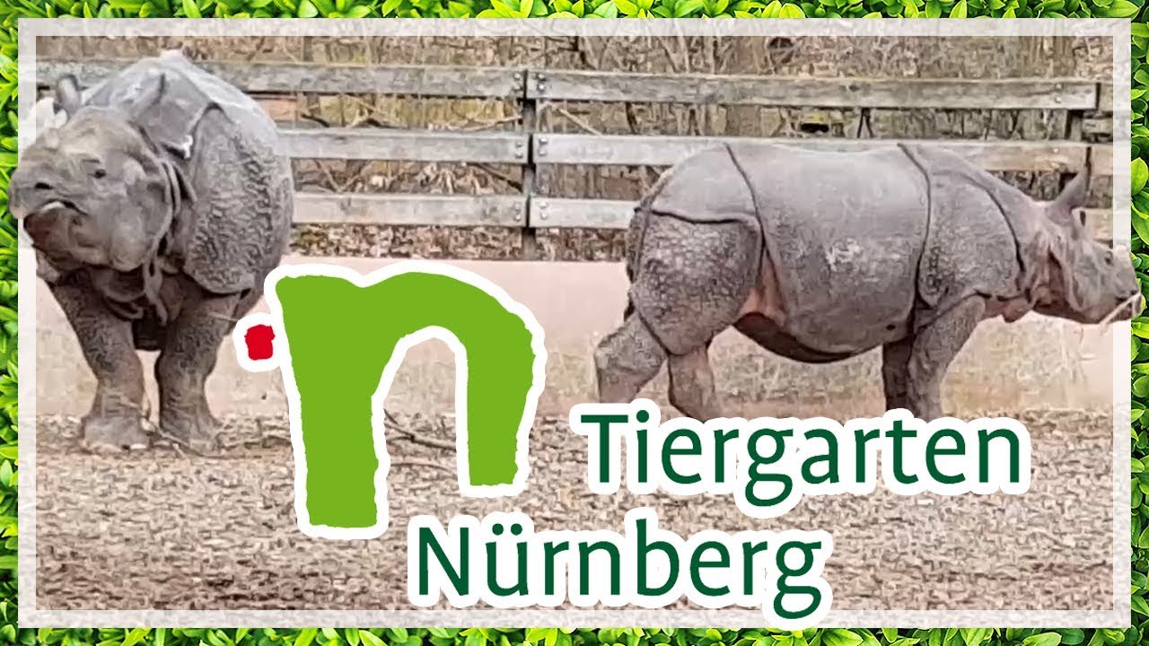 TIERGARTEN NÜRNBERG 🦏🐫🐬 Impressionen 20. Februar 2019