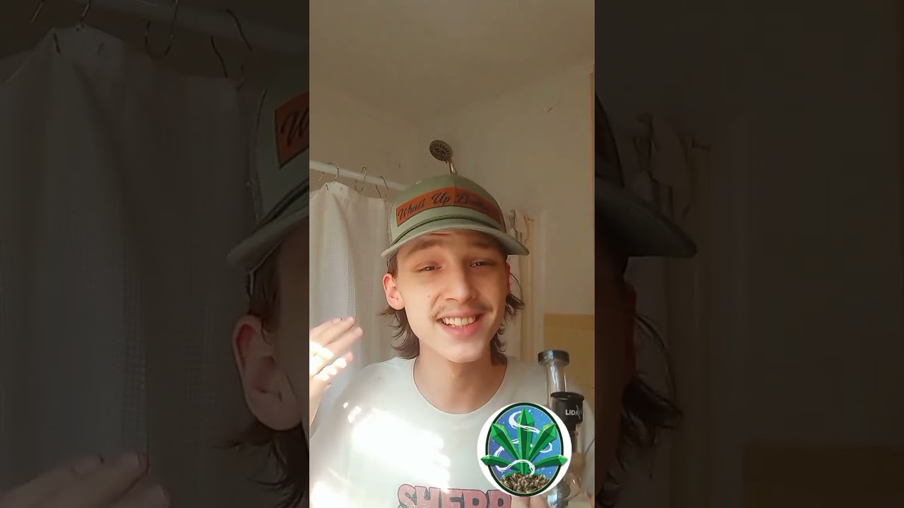 Alien Pebble Review by Dr.Lung710  #Weeds #cannabis #Stoner