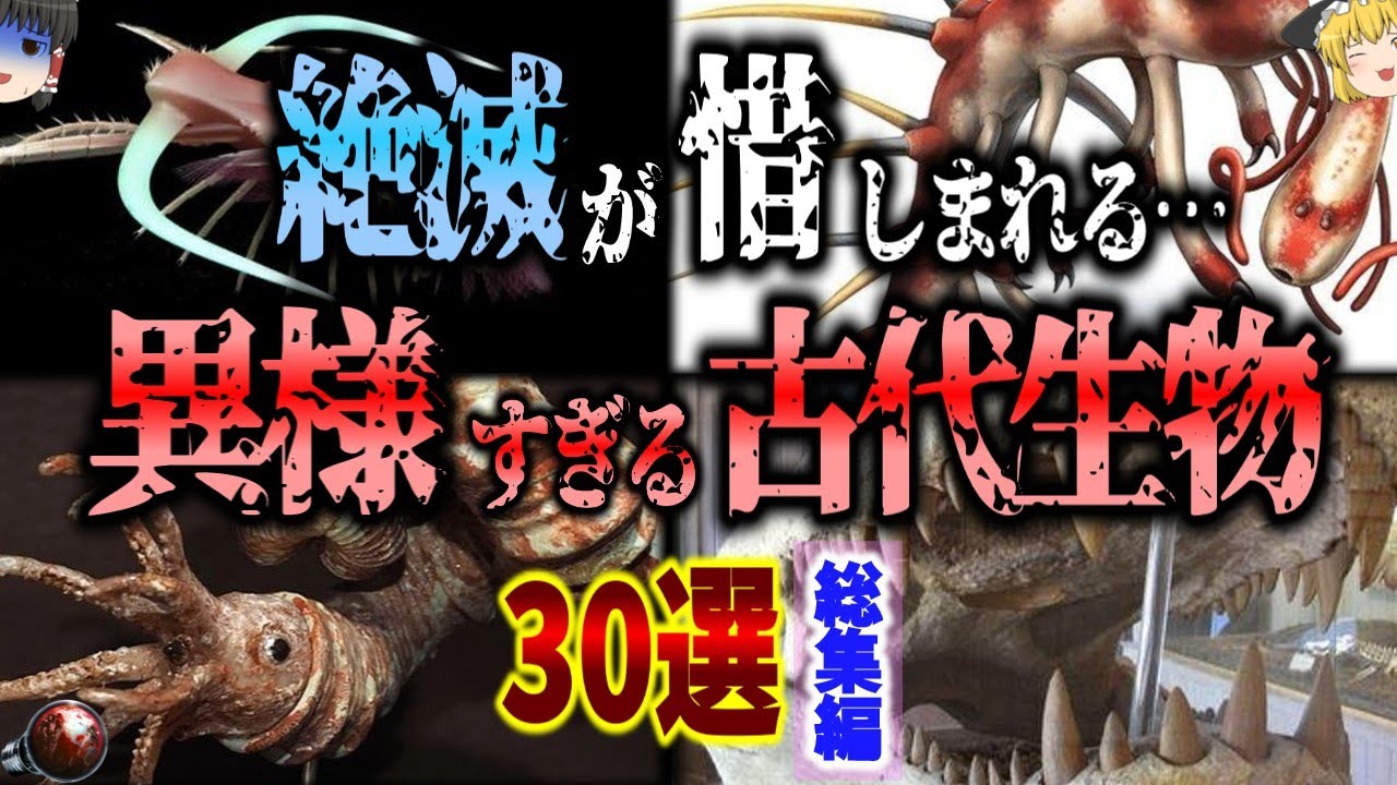 【閲覧注意】かつて世界を席巻していた驚異の絶滅生物・今も生きてる古代生物 30選/アノマロカリス/オパビニア/ハルキゲニア【リライト総集編/ゆっくり解説】【睡眠用・作業用】