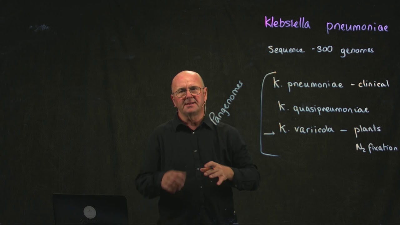 Klebsiella Introduction