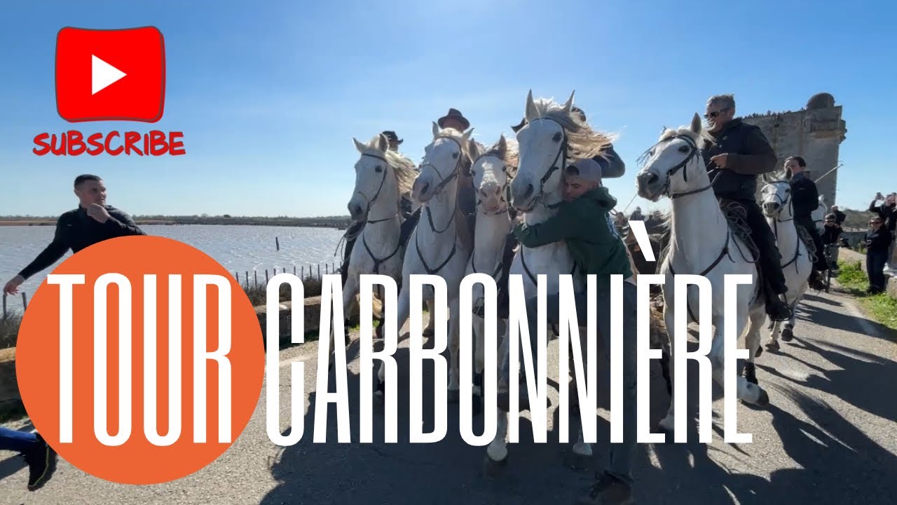 Abrivado longue ➡️ saint-Laurent d’Aigouze 🇫🇷 30/03/2025 Manade LESCOT 👍🏼 Départ Tour Carbonnière￼￼