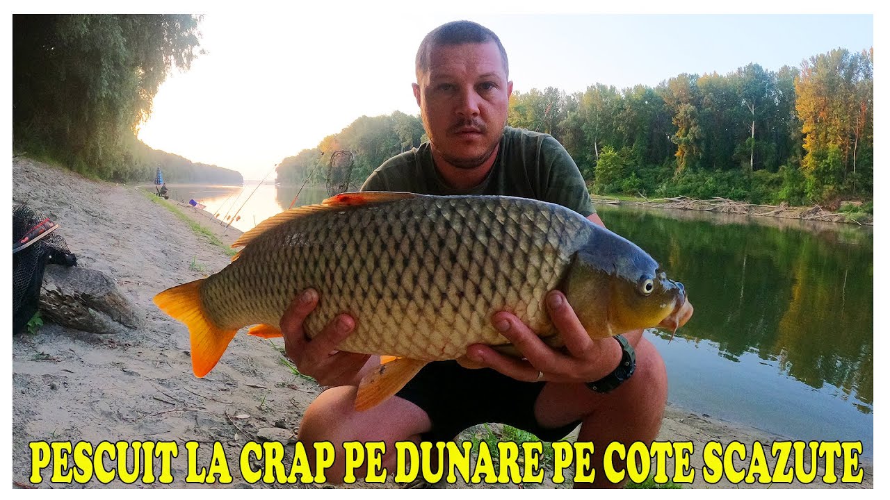PESCUIT LA CRAP PE DUNARE PE COTE SCAZUTE