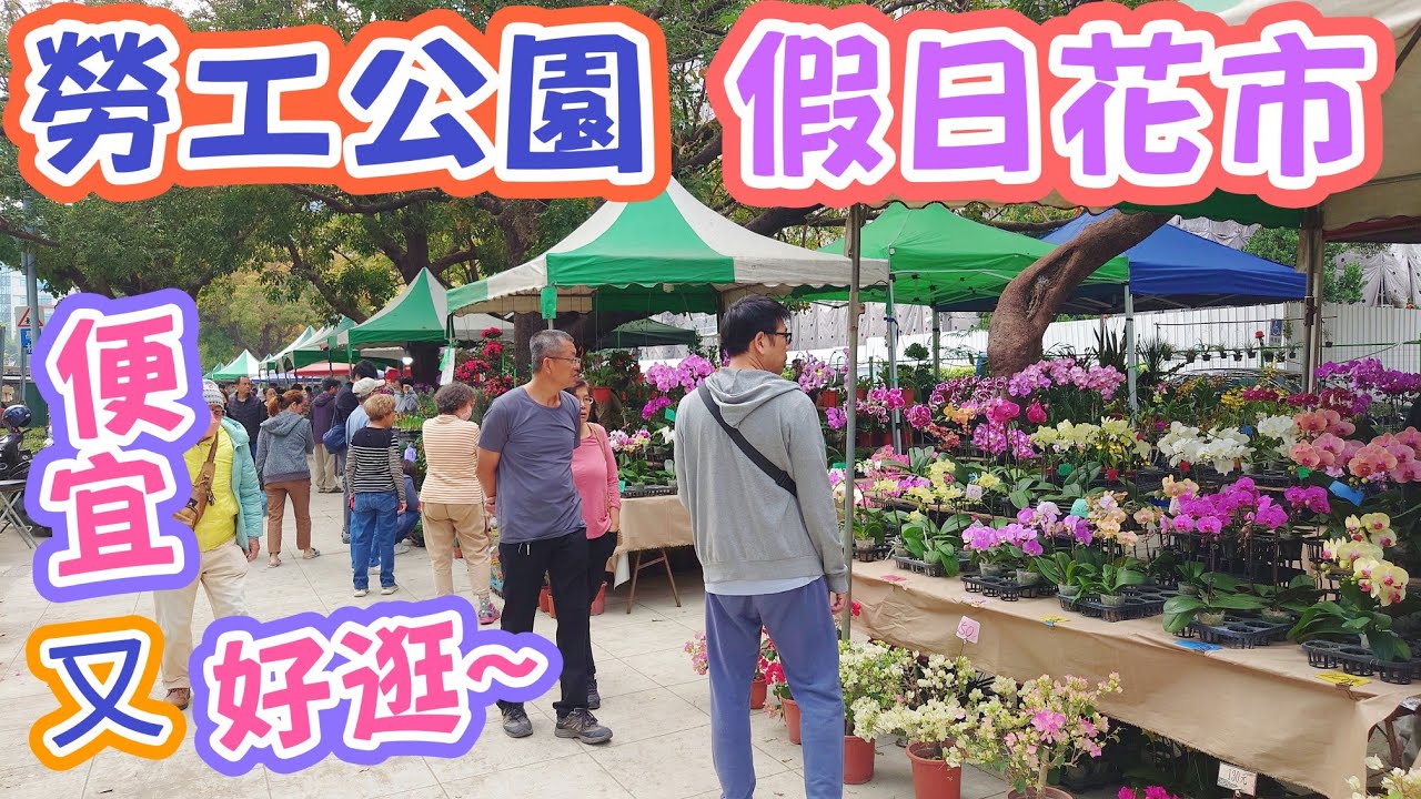 ［跟著阿郁逛］勞工公園假日花市#塊根#塊根植物#龍舌蘭#多肉植物#多肉#盆景#盆栽#沙漠玫瑰#花園#植物#植物燈#生活#有趣#開箱#療癒#鹿角蕨#觀葉植物#花市#園藝#田尾#教學#花#栽培#秘訣#蘭花