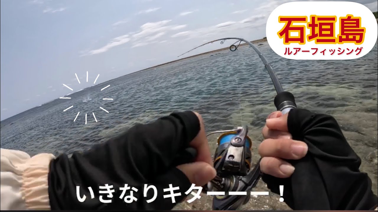 初めての石垣島で釣りをしてみたら楽しすぎた❗️