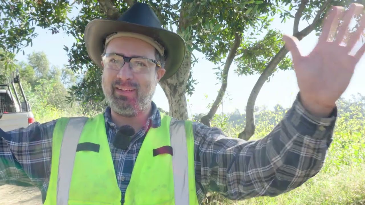 Elysian Heights is a Very High Fire Hazard Severity Zone (VHFHSZ)