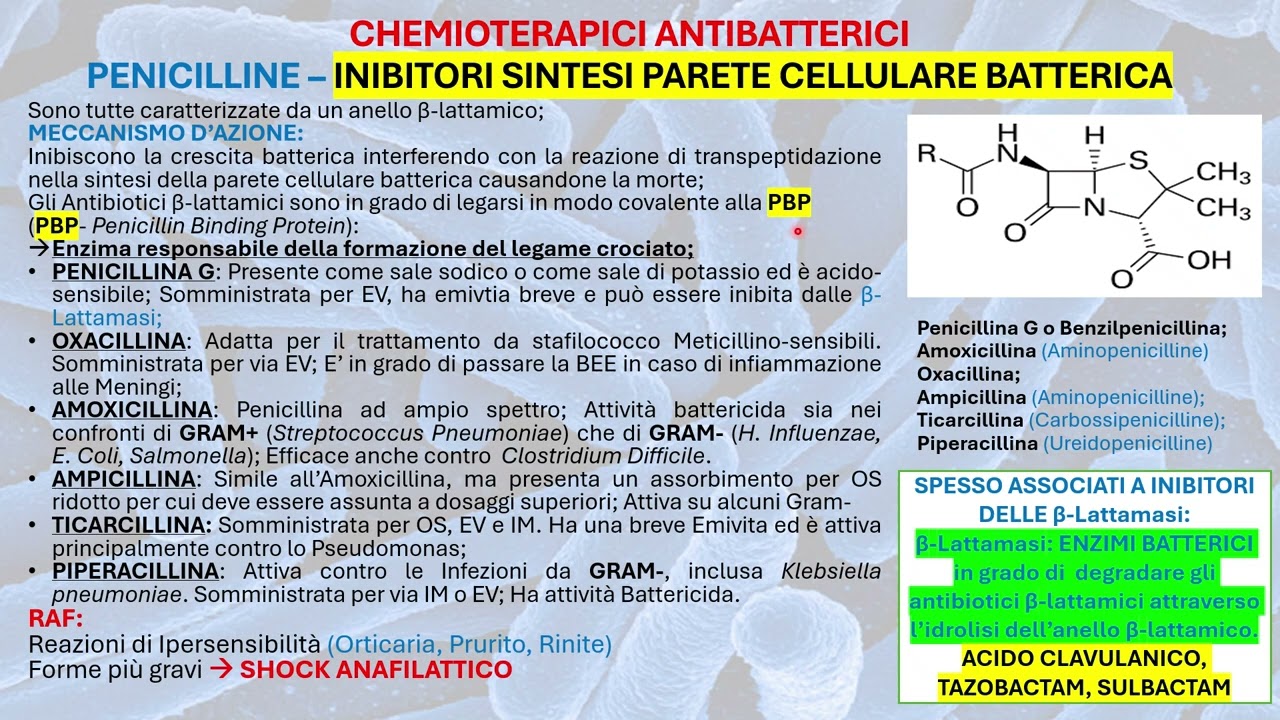 FARMACOLOGIA: CHEMIOTERAPICI ANTIBATTERICI
