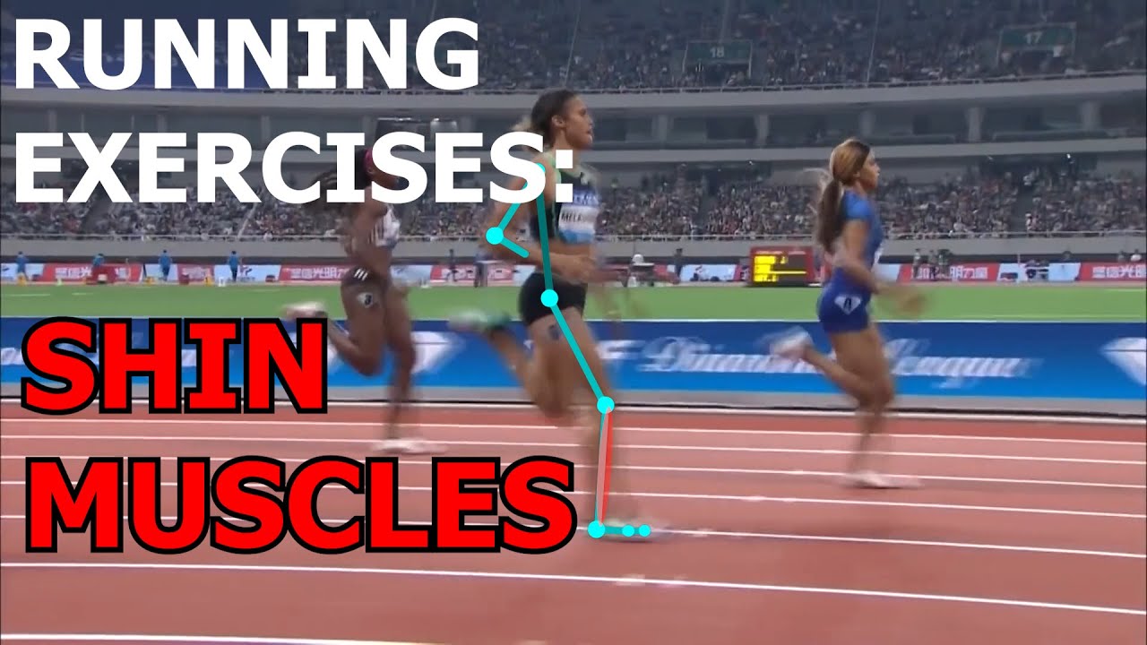 Running Exercises: How the SHIN MUSCLES work during RUNNING