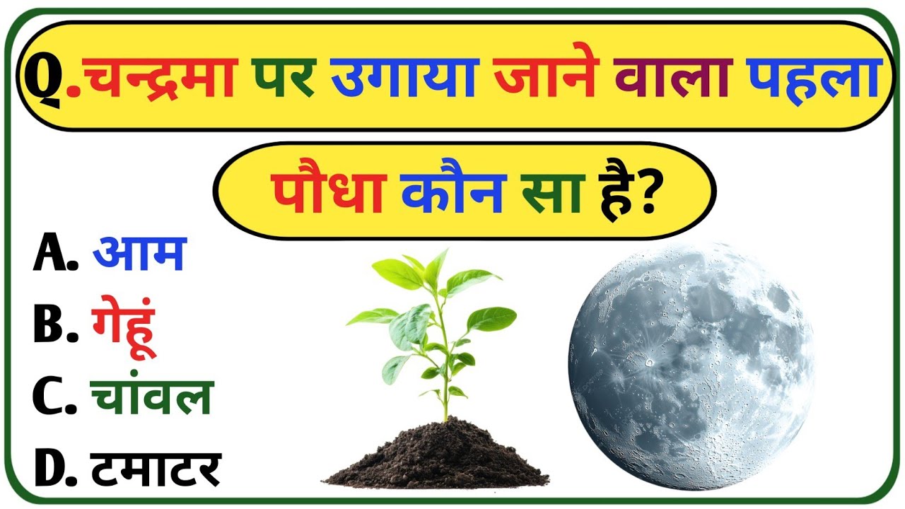 GK Question || GK In Hindi || GK Question And Answer || GK Quriz || GK KARAN ||