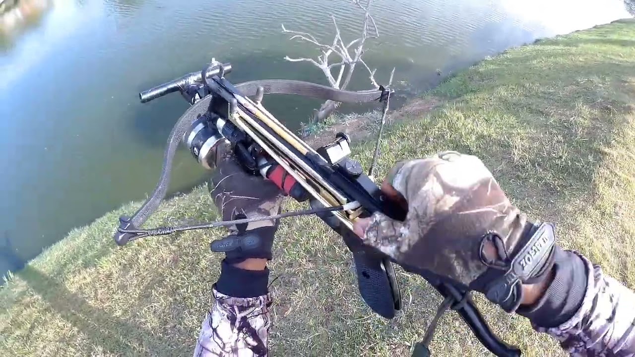 #pesca