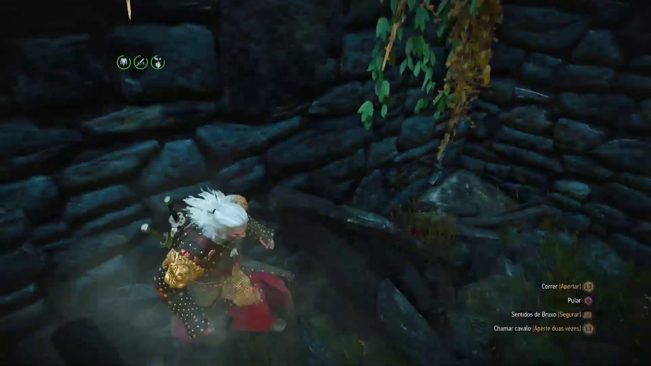The wicher 3 Ps5_pro