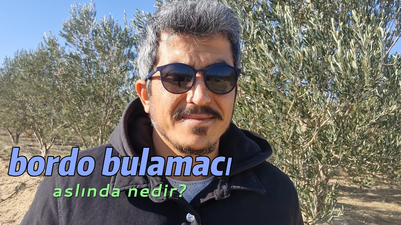 bordo bulamacı aslında nedir?