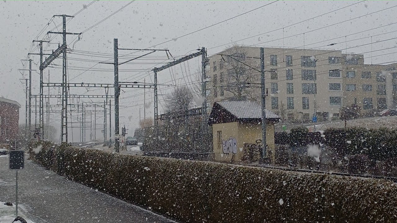 Bahnschranke Rüti Zürich bei Schneefall live❄️