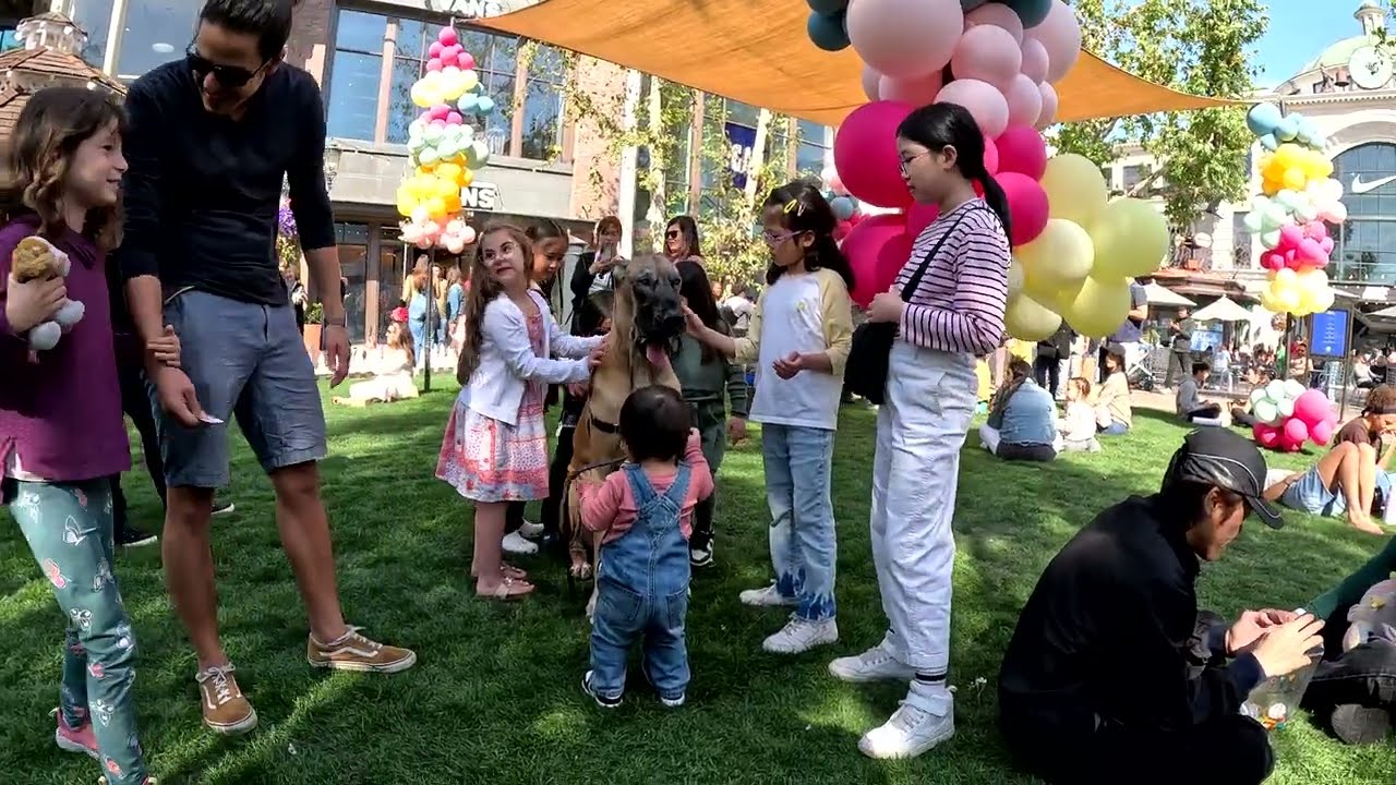 Cash 2.0 Great Dane at The Grove and Farmers Market in Los Angeles 79