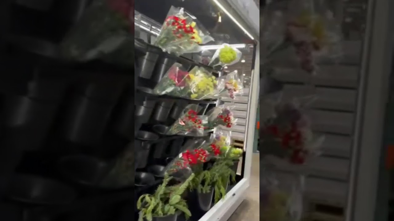 开年美國物價高嗎？Costco貨價平穩，人聲鼎沸，美國人民開心購物！