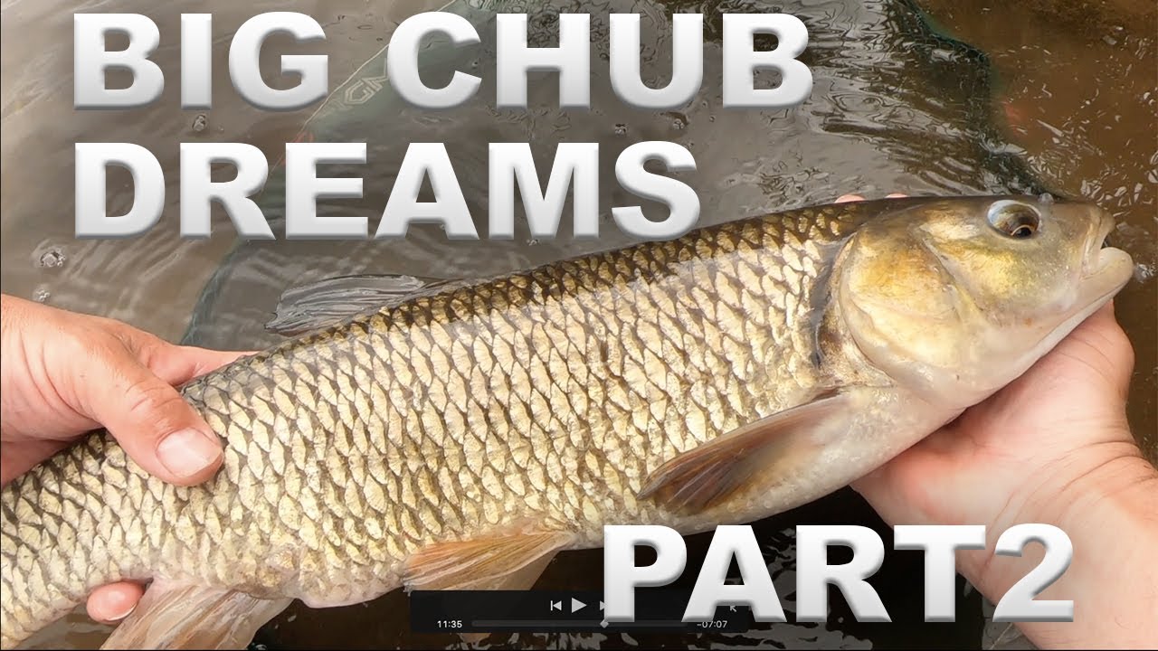 River Chub Fishing - Trotting Bread Flake - Part 2