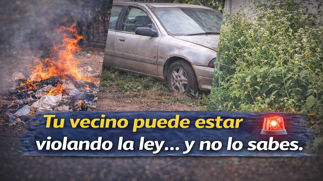 Conflictos vecinales: lo que dice el reglamento cívico