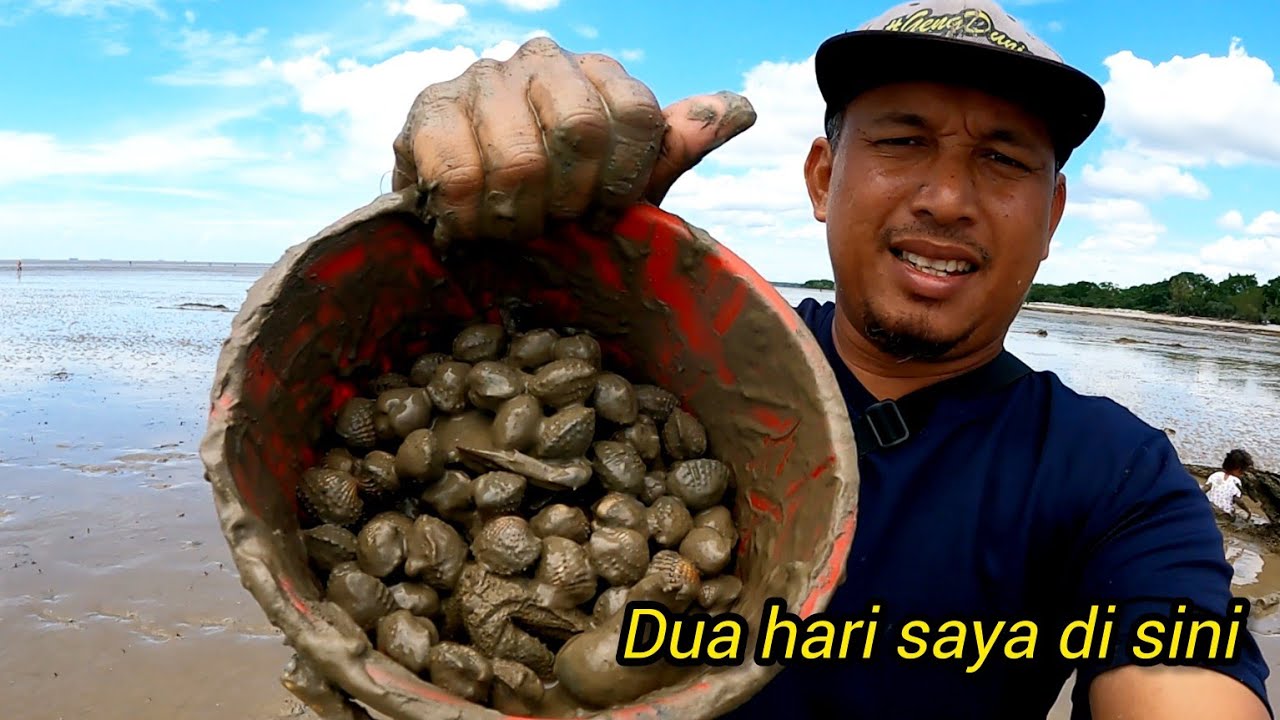 Mencari Kerang Bersama Keluarga// catch and cook.